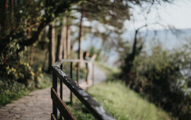Capture tranquility with this beautiful image of a peaceful park pathway lined by lush trees...