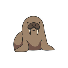 Walrus illustration