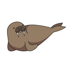 Walrus illustration