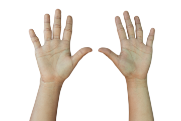 Hands raised up gesture Isolated on transparent background, PNG File.