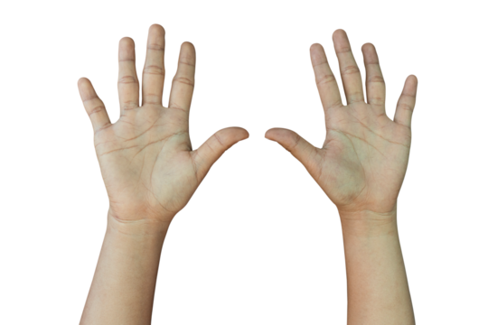 Hands raised up gesture Isolated on transparent background, PNG File.