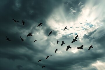 A flock of birds in flight, creating a dynamic silhouette against a cloudy sky.