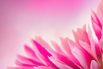 Obraz premium pink lotus flower
