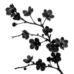 Obraz premium Detail Oriented Branch with Black Flowers Premium Stock Photos