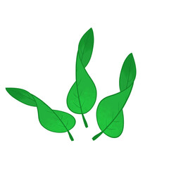 Curled leaf illustration