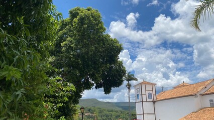 Fototapeta premium nature forest landscapes brazil colombia