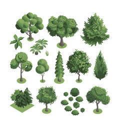 variety of isometric plant illustrations for landscape design, featuring trees and bushes in a blocky 3D style