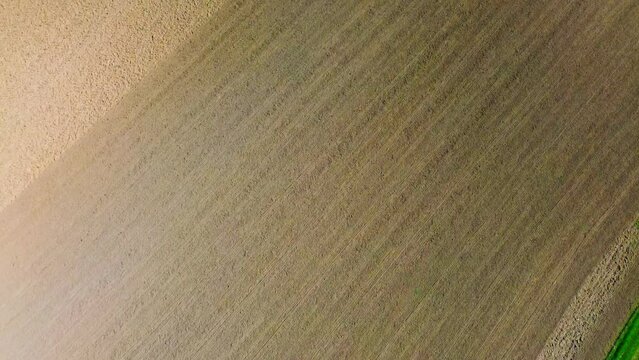 Aerial View of Freshly Harvested Field with Parallel Crop Rows