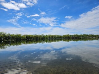Nature landscape of a lakeshore with green trees, calm still water and a blue sky with clouds.