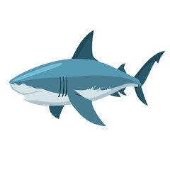 Fototapeta premium great white shark with a blue body and white belly swimming in the deep blue ocean