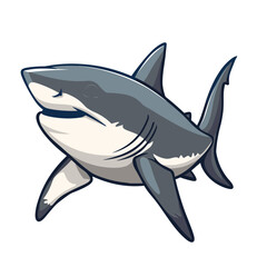 Obraz premium large great white shark