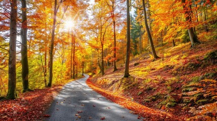 Obraz premium Autumn scene German forest road with asphalt mountain road amidst vibrant autumn foliage in Bavaria