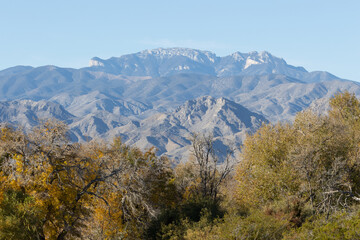 Mount Charleston Nevada Mountains