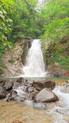 waterfall in the forest.