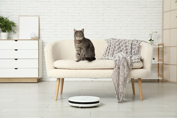 Cute cat with modern robot vacuum cleaner at home