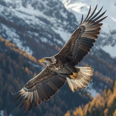 Obraz premium Noble Bird Soars Above Grand Landscape Embodying American Spirit