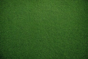 green grass texture