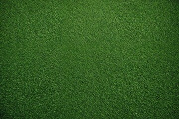 green grass texture