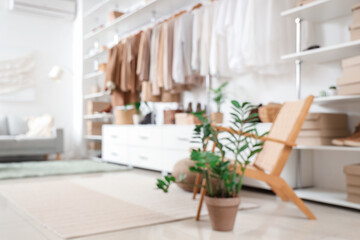 Interior of modern wardrobe with stylish clothes and accessories, blurred view