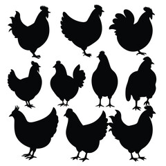 Set of Buff Orpington Chicken animal black silhouettes vector on white background