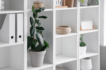 Shelf unit with plants and folders in room, closeup