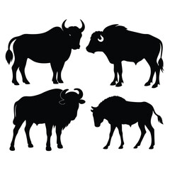 Set of Buffalo animal black silhouettes vector on white background