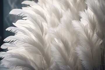 white feather on black