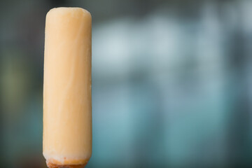 Orange fruit cylindrical ice cream popsicle with copy space
