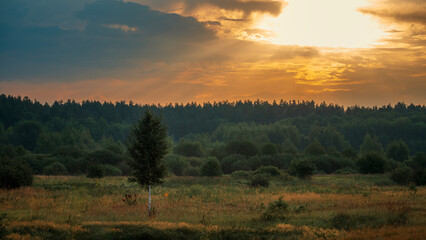 Sunrise sun over forest. Landscape in morning. Golden hour in nature.
