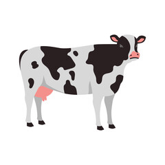 A simple, flat illustration of a Holstein cow