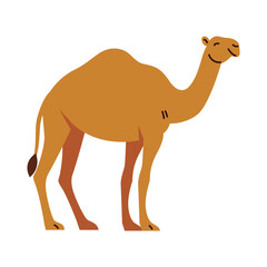 A simple, flat design illustration of a camel with warm colors and a cheerful atmosphere.