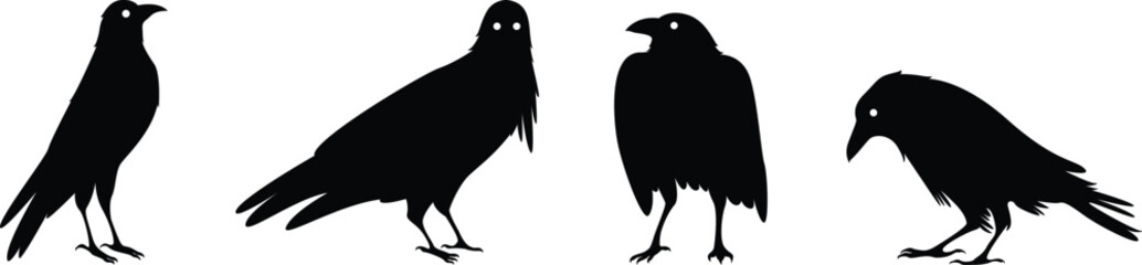 set of silhouette crow on transparent background, vector design	