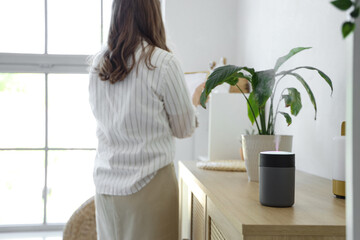 Air humidifier on commode of woman with plant at home, closeup