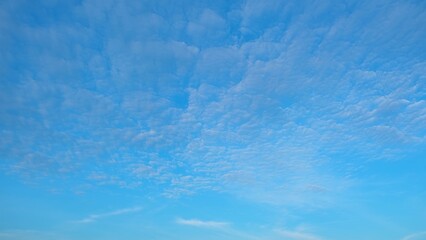 A serene blue sky filled with a patchwork of fluffy, scattered clouds. The soft, cotton-like clouds create a textured pattern, adding depth and tranquility to the bright sky. Horizon background. 
