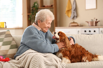 Senior woman with cute cavalier King Charles spaniel dog and blanket sitting on sofa at home