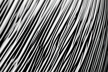 Obraz premium Background and Texture