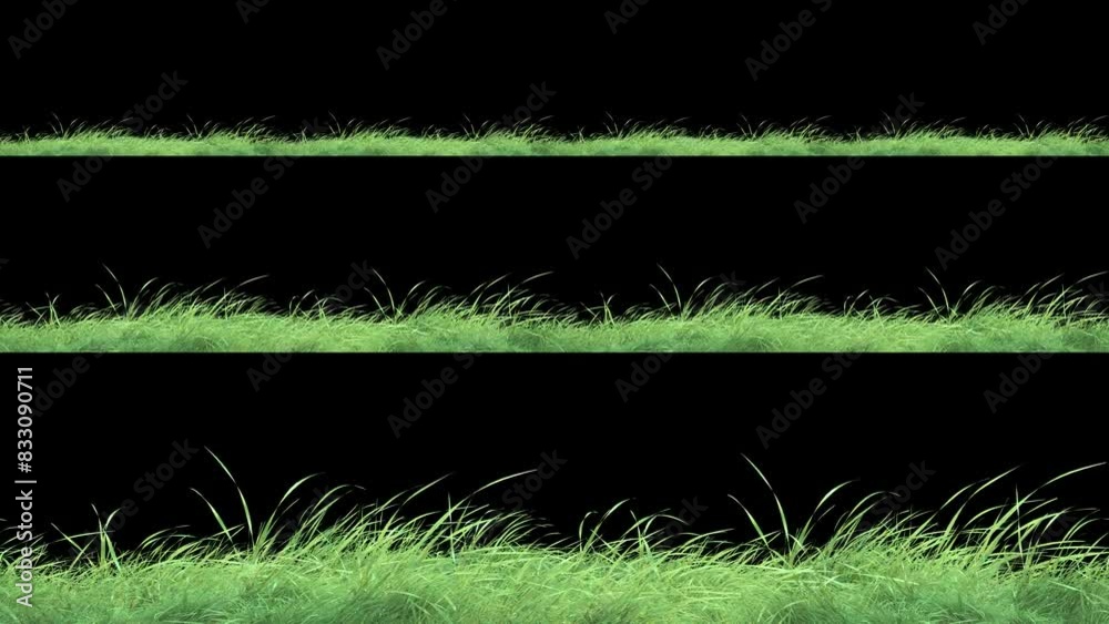 Wall mural grass wind noise loop and continue copy place on alpha channel. element footage place on footage or 