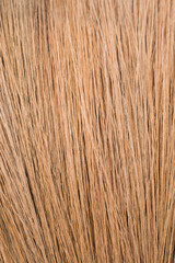 House Brown Broom in Kitchen Floor