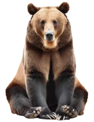 Fotobehang Beer Brown bear sitting with paws crossed, isolated on a clear white background.  © Hanoi .s