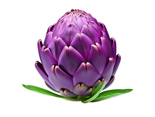 Fototapeta premium a purple flower with green leaves