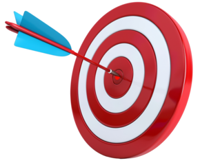 a red and white target with a blue arrow