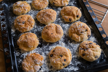 Homemade liver photographed from above. Homemade baking.