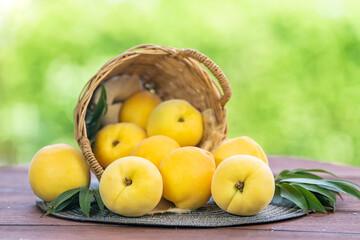 Fresh Sweet Peach on green bokeh background, Yellow Peach fruit with leaf on wooden table. 