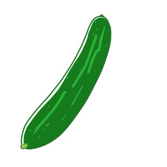 Freshly picked fresh cucumber is fresh, and delicious summer classic vegetable for salads.