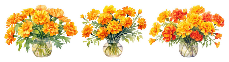 Marigold flower watercolor set