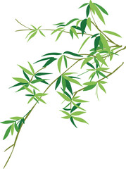 Serene Green Bamboo Leaves on a Pristine White Background, Bamboo - Chinese Painting Vector