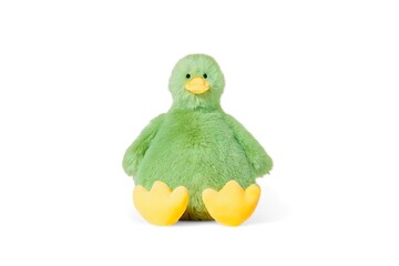 Green stuffed bird on a white background