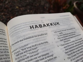 close up photo of a Bible page