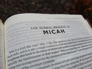 close up photo of a Bible page