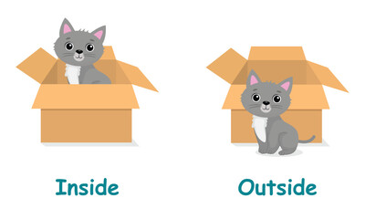 Opposite antonym words inside and outside illustration of cat sitting inside and outside the box
